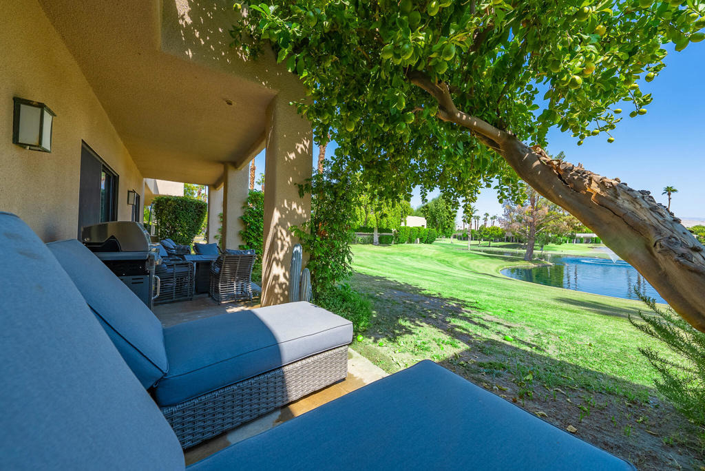 29118 Desert Princess Drive - Photo 17