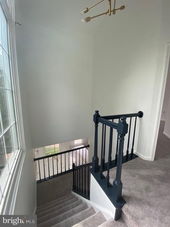 8013 Hilliard Drive - Photo 13