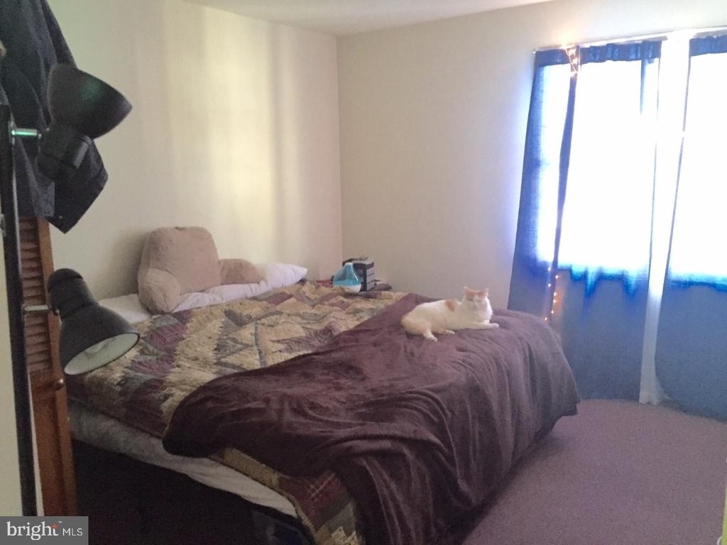 213 Laurel Avenue - Photo 11