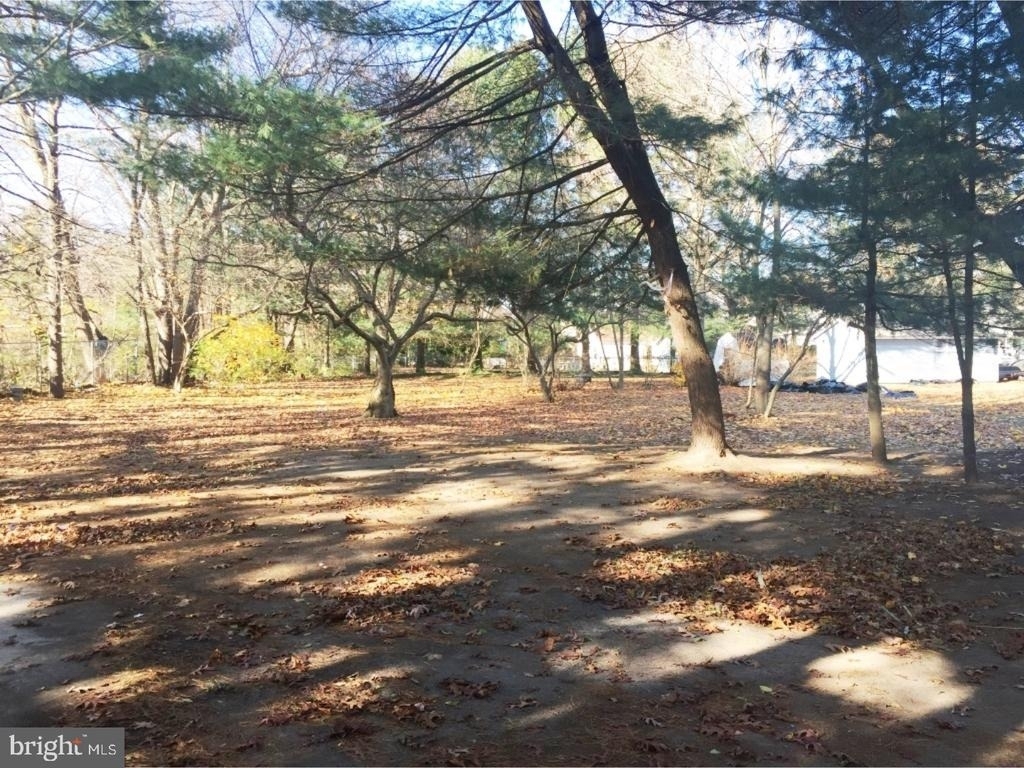 213 Laurel Avenue - Photo 4