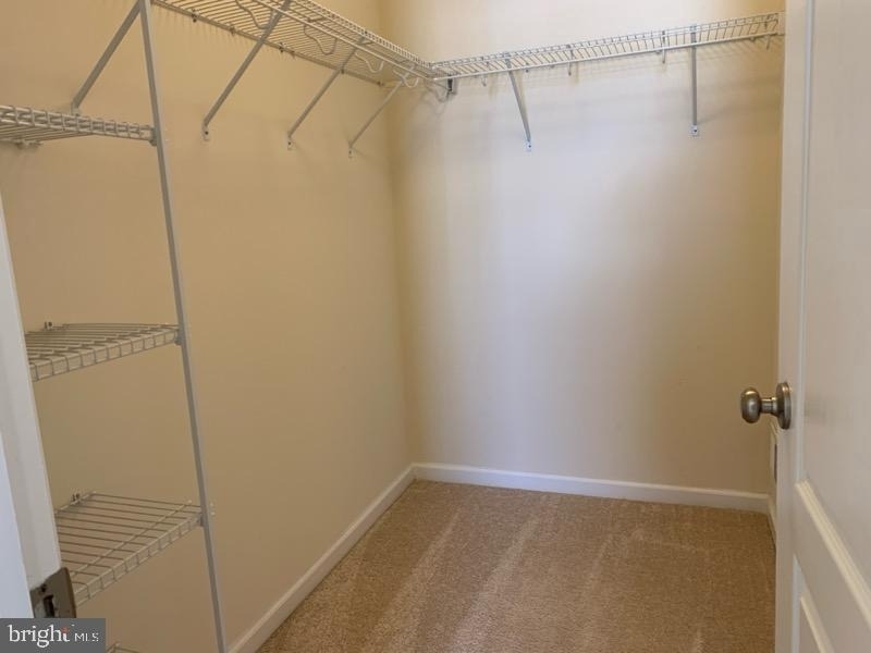 20549 Asheville Drive - Photo 4