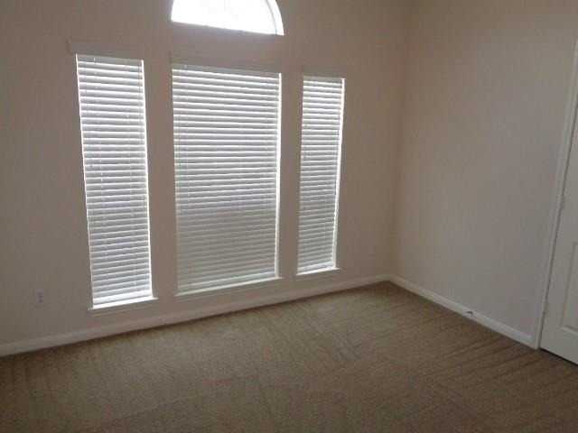 19323 Palmoral Drive - Photo 3