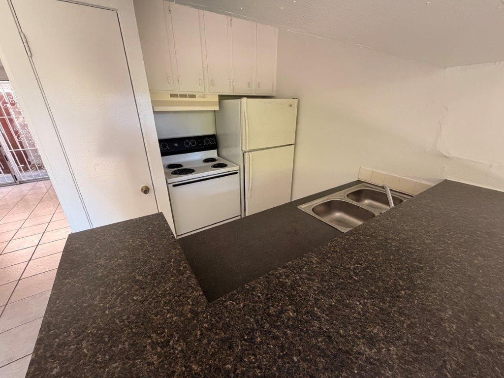 820 W Alabama Street - Photo 1