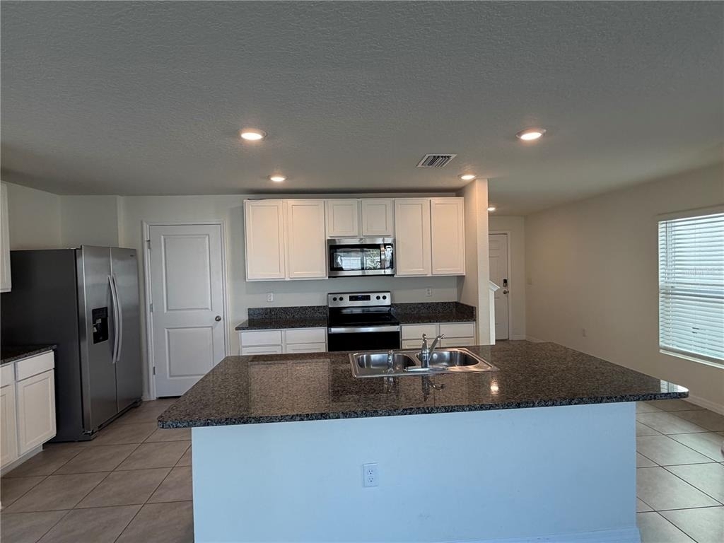 12072 Downy Birch Drive - Photo 4