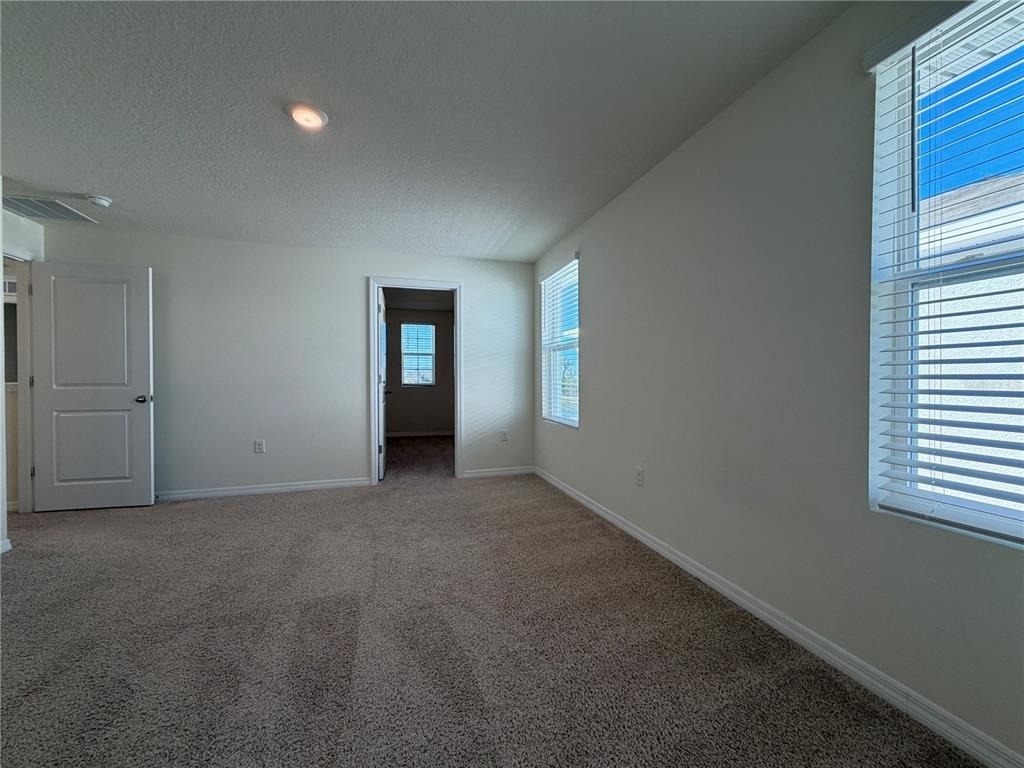 12072 Downy Birch Drive - Photo 13