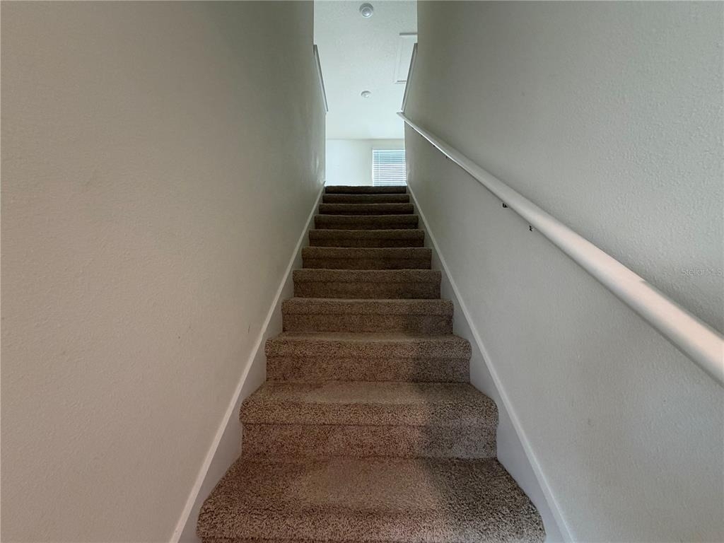 12072 Downy Birch Drive - Photo 11