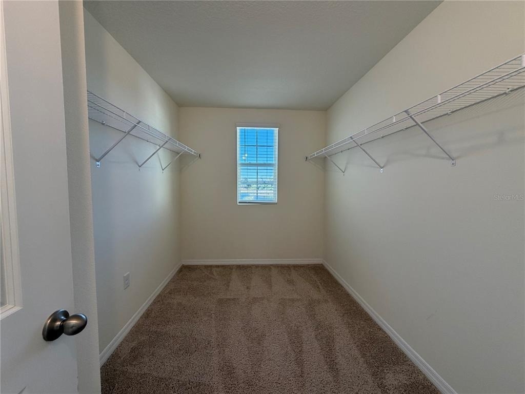 12072 Downy Birch Drive - Photo 16