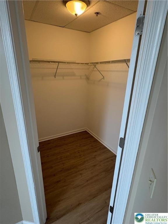 17 Belvidere Street - Photo 7