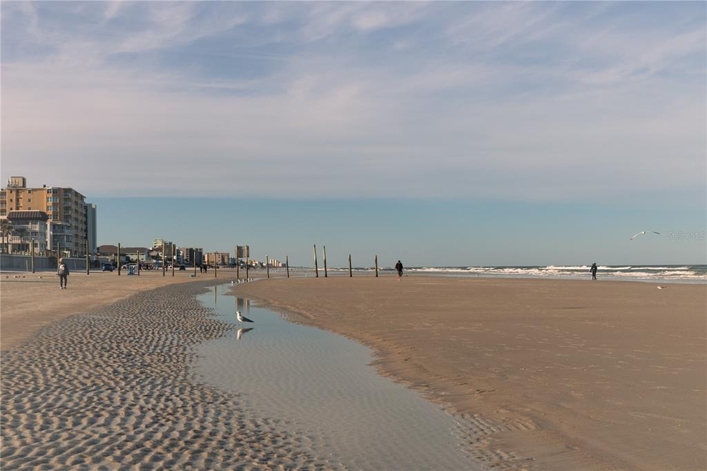 3801 S Atlantic Avenue - Photo 26