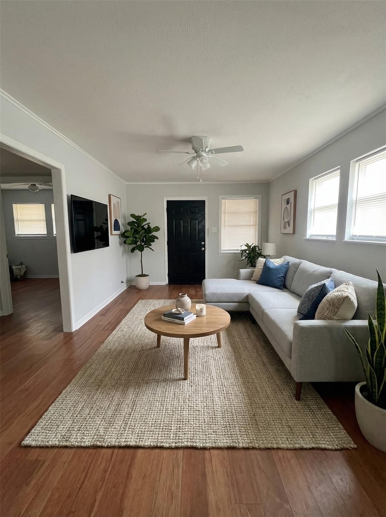 4911 Delano Street - Photo 3