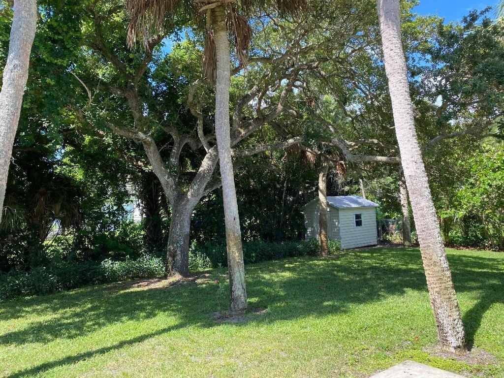 956 Tulip Lane - Photo 34