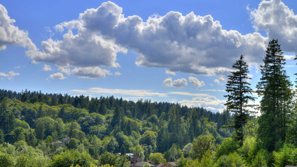 8700 Northeast Bothell Way - Photo 23