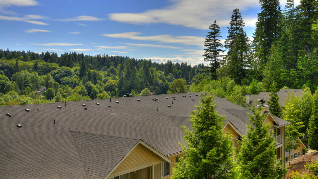8700 Northeast Bothell Way - Photo 24