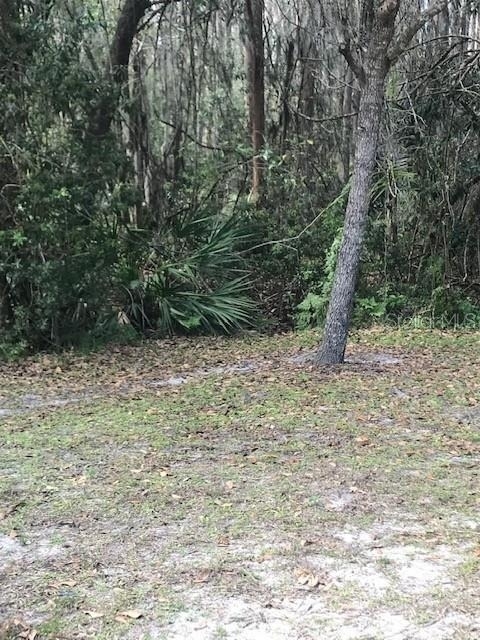 1135 Baronscourt Drive - Photo 33
