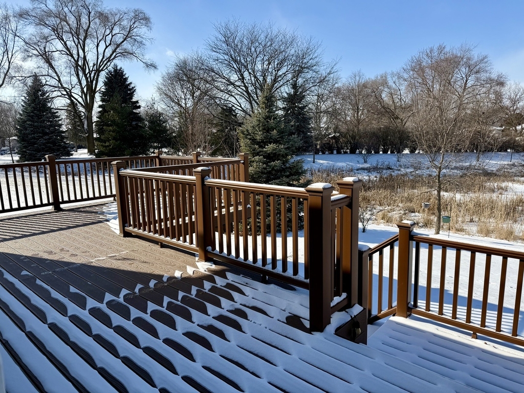 3907 Nannyberry Street - Photo 34