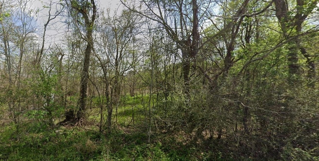 831 Drews Landing Rd - Photo 0