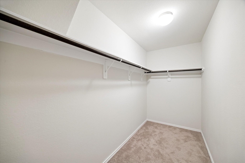 1606 Avocet Way - Photo 9