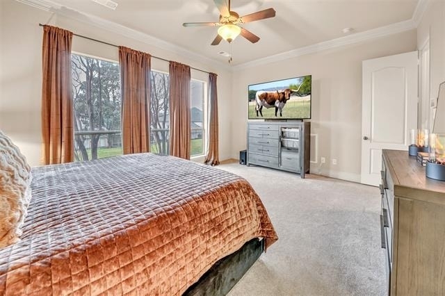 5048 Exposition Way - Photo 35