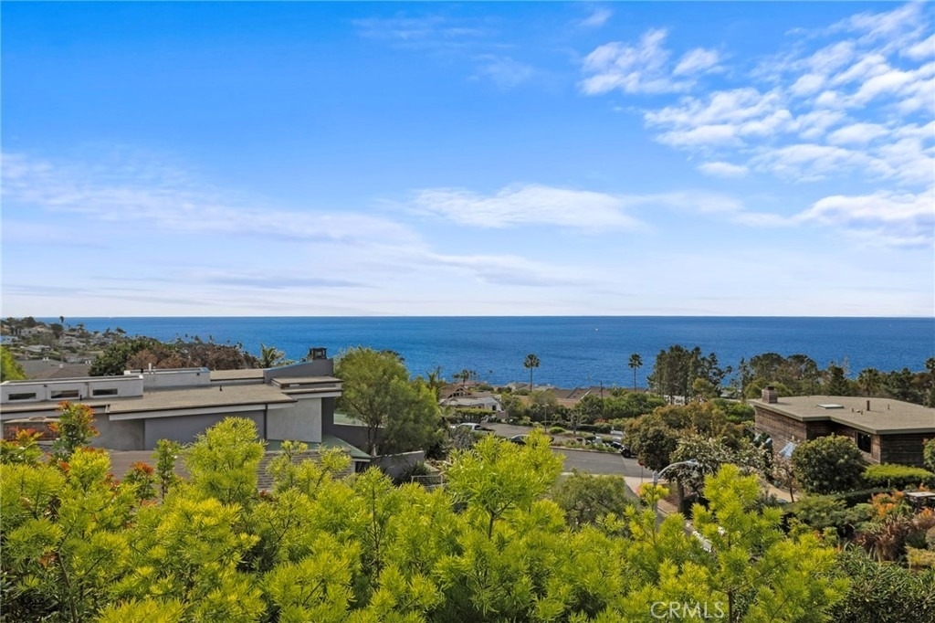 30842 Driftwood Drive - Photo 4