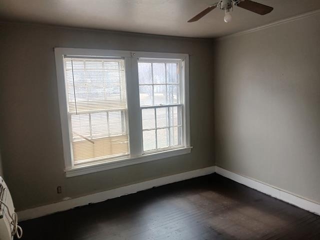 144 Merrick Street - Photo 10