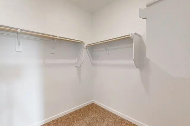 21611 Shadowbrook Birch Drive - Photo 24