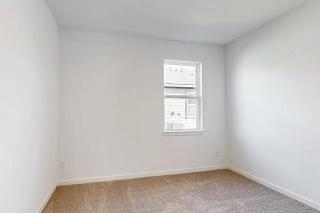 21611 Shadowbrook Birch Drive - Photo 12