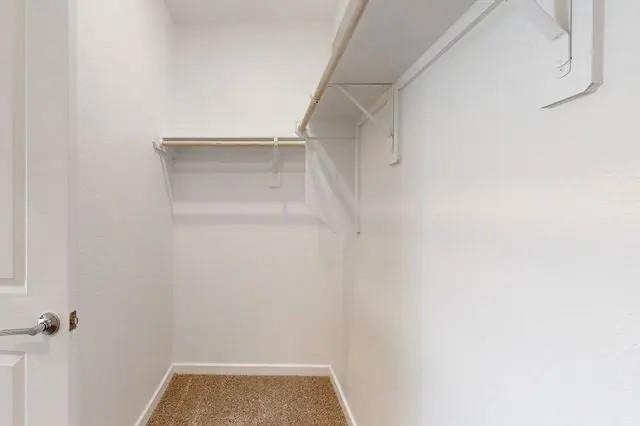 21611 Shadowbrook Birch Drive - Photo 26