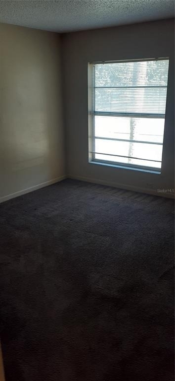 3919 E Fern Street - Photo 6