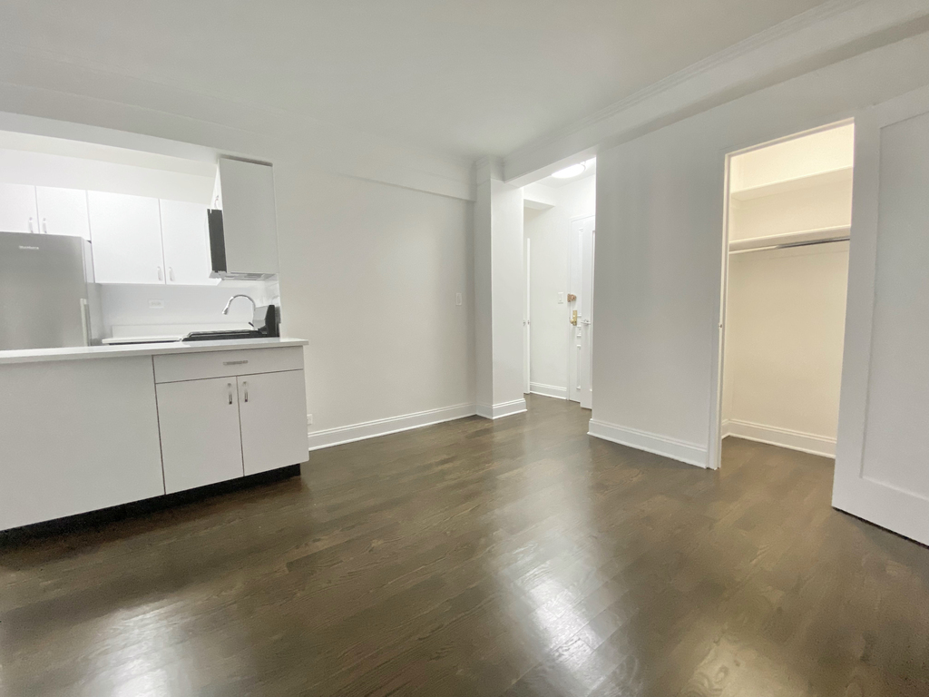 East 50th Street - Photo 4