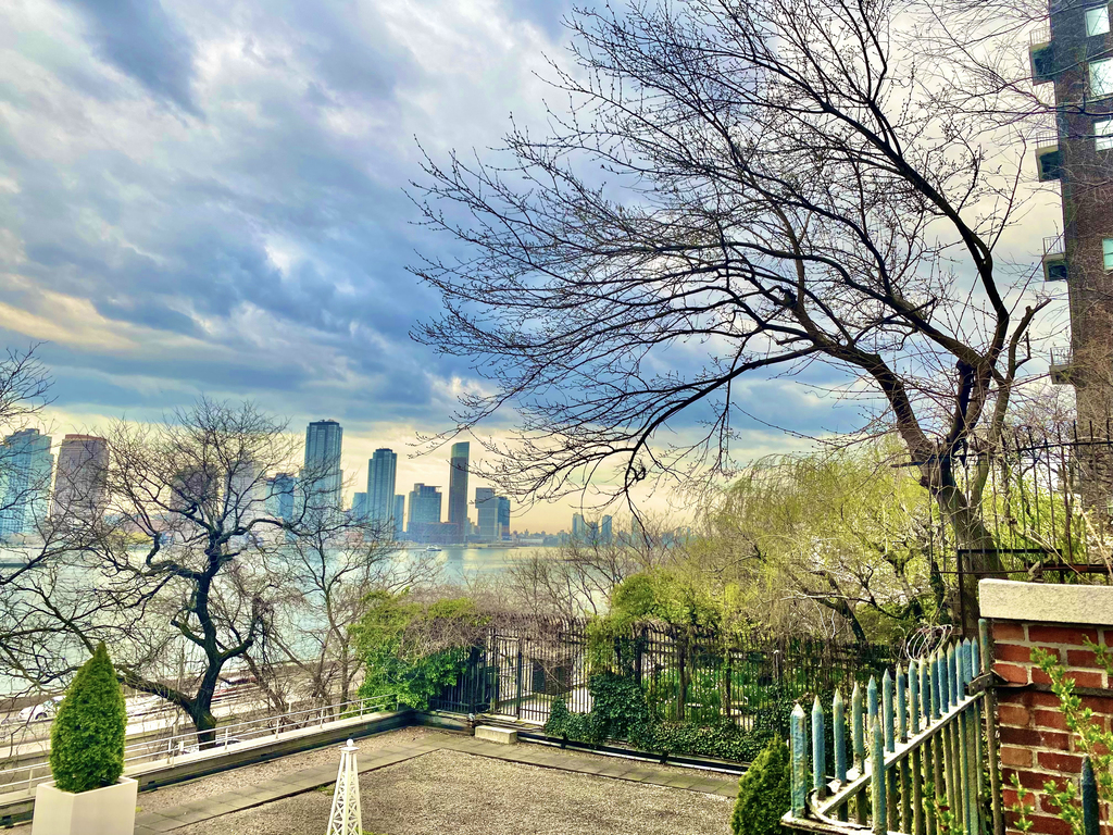 East 50th Street - Photo 8