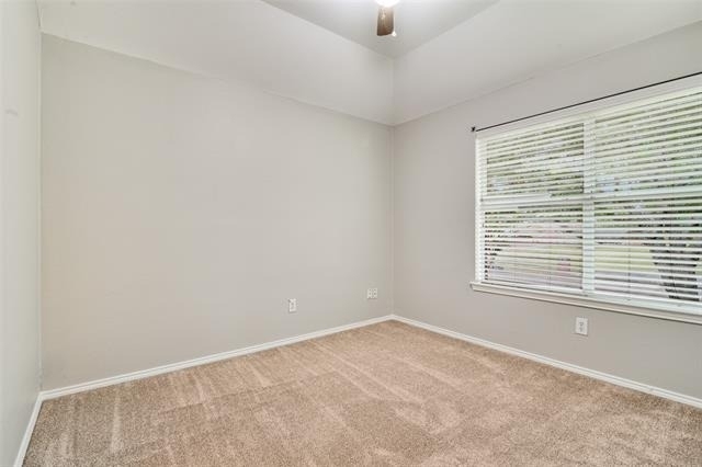 3690 Chestnut Trail - Photo 21