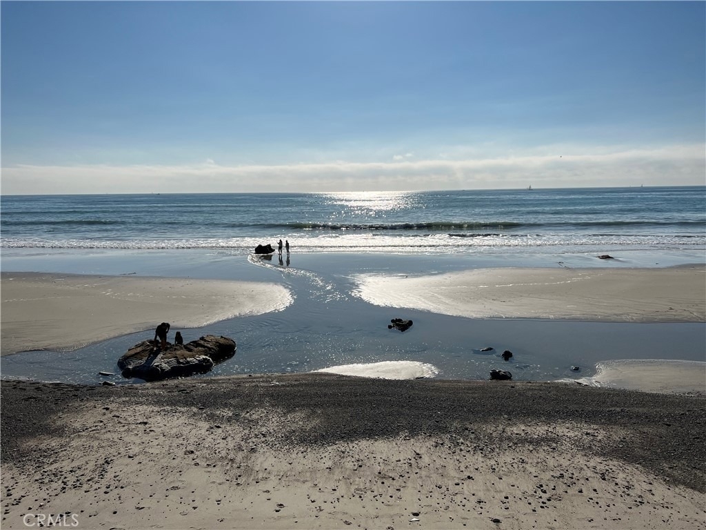 35697 Beach Road - Photo 42