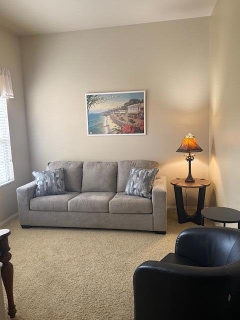 41085 Calle Pampas - Photo 3