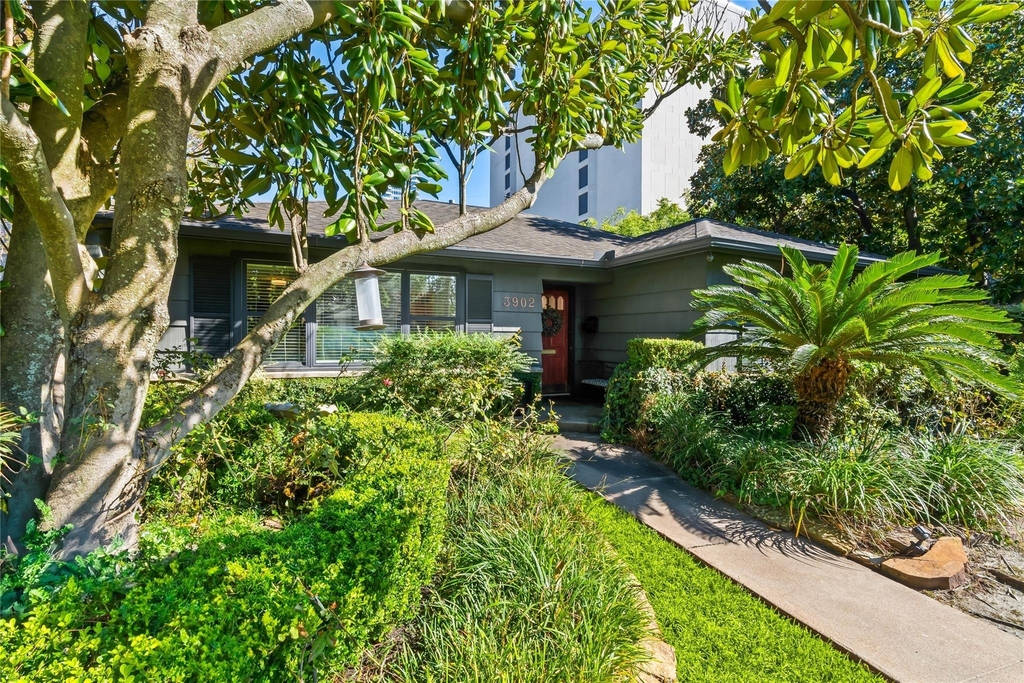 3902 Colquitt Street - Photo 7