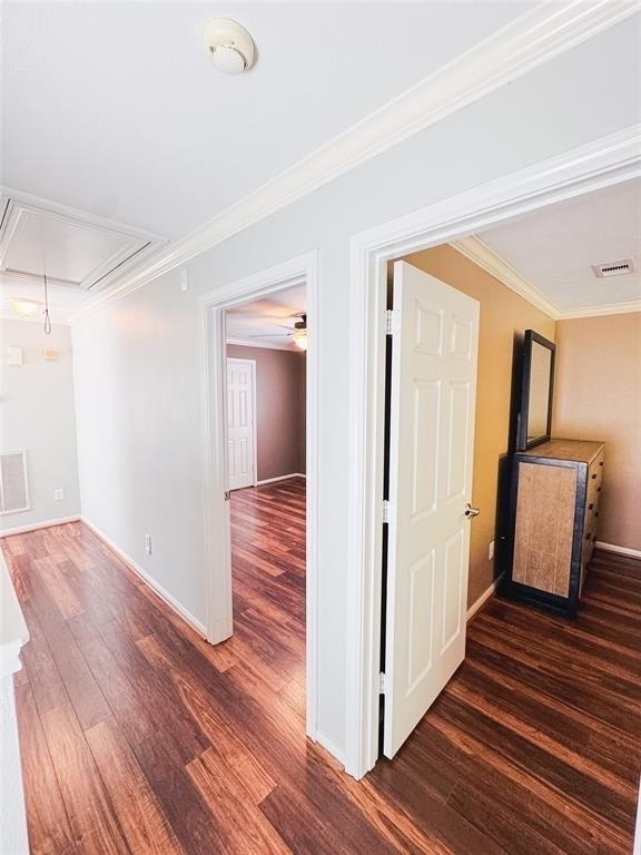 1204 Andrews Street - Photo 12