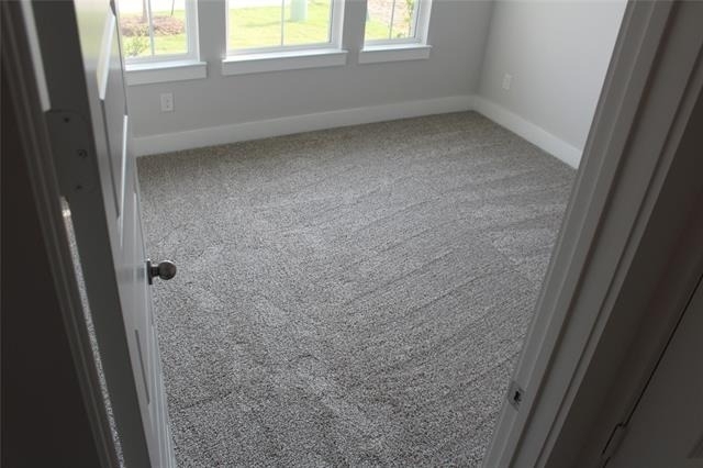 1821 Briar Rose Drive - Photo 32