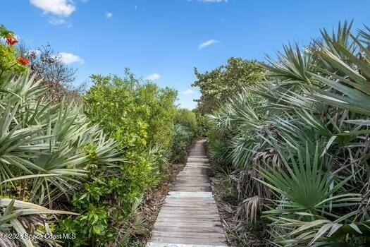 33 Cove Road - Photo 31