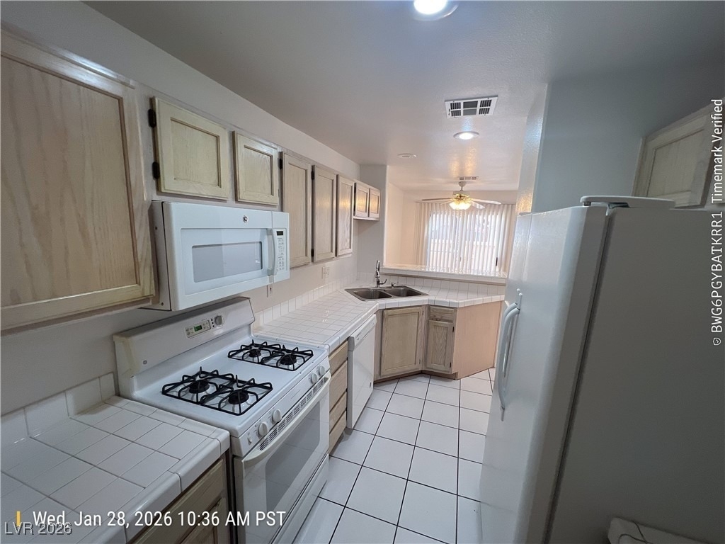 920 Twinkling Sky Avenue - Photo 4