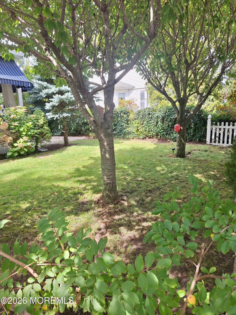331 Richmond Avenue - Photo 43