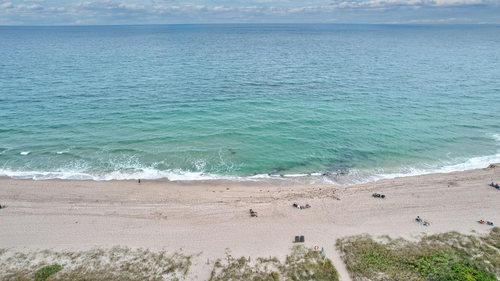 4548 N Ocean - Photo 34