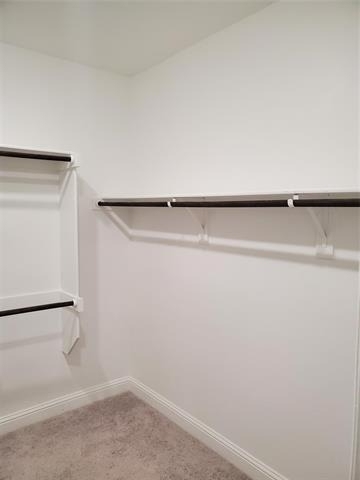 4146 Perch Drive - Photo 12