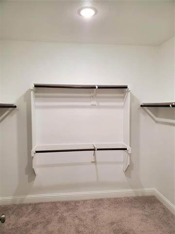 4146 Perch Drive - Photo 10