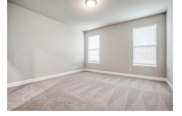 4146 Perch Drive - Photo 21