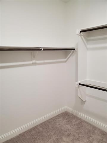 4146 Perch Drive - Photo 16