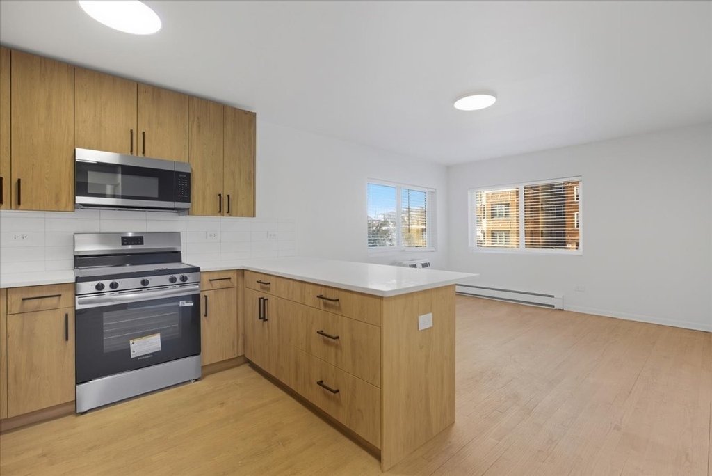 7359 N Winchester Avenue - Photo 1