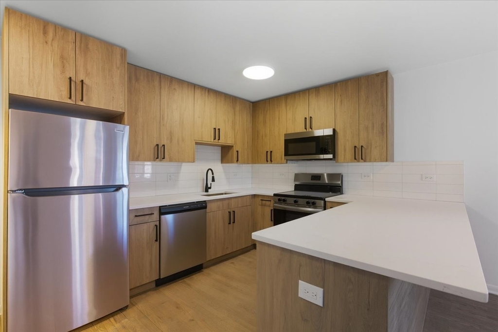 7359 N Winchester Avenue - Photo 2