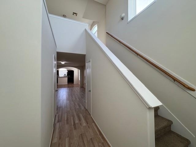 2819 Back Bay Brook Trail - Photo 12