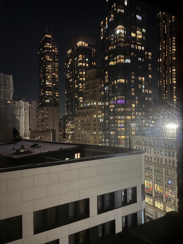 50 West 34th Street - Photo 6