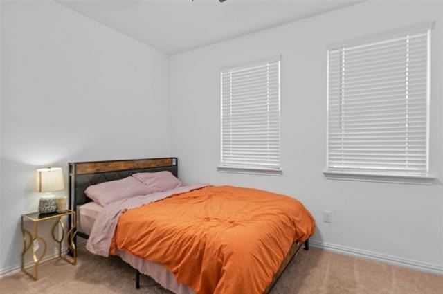 8716 Whistling Duck Drive - Photo 11