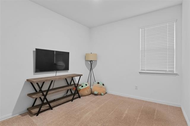 8716 Whistling Duck Drive - Photo 14